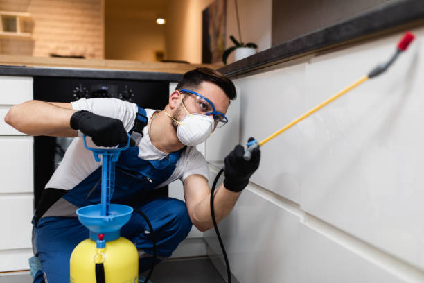Best Affordable Pest Control Services  in Watauga, TX