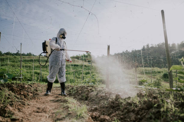 Best Pest Removal Services  in Watauga, TX