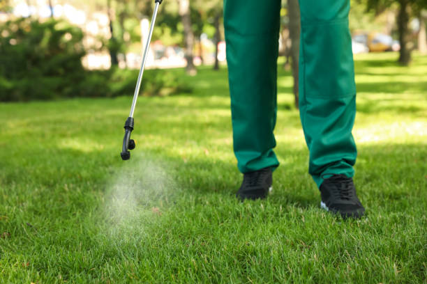Best Exterminator Services  in Watauga, TX