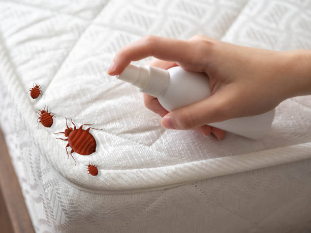 Best Mosquito Control Services  in Watauga, TX