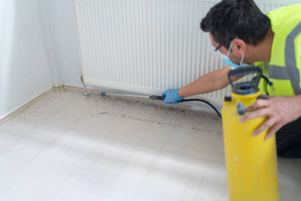 Best Commercial Pest Control Services  in Watauga, TX