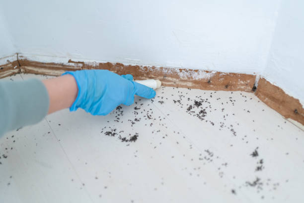 Best Best Pest Control Companies  in Watauga, TX